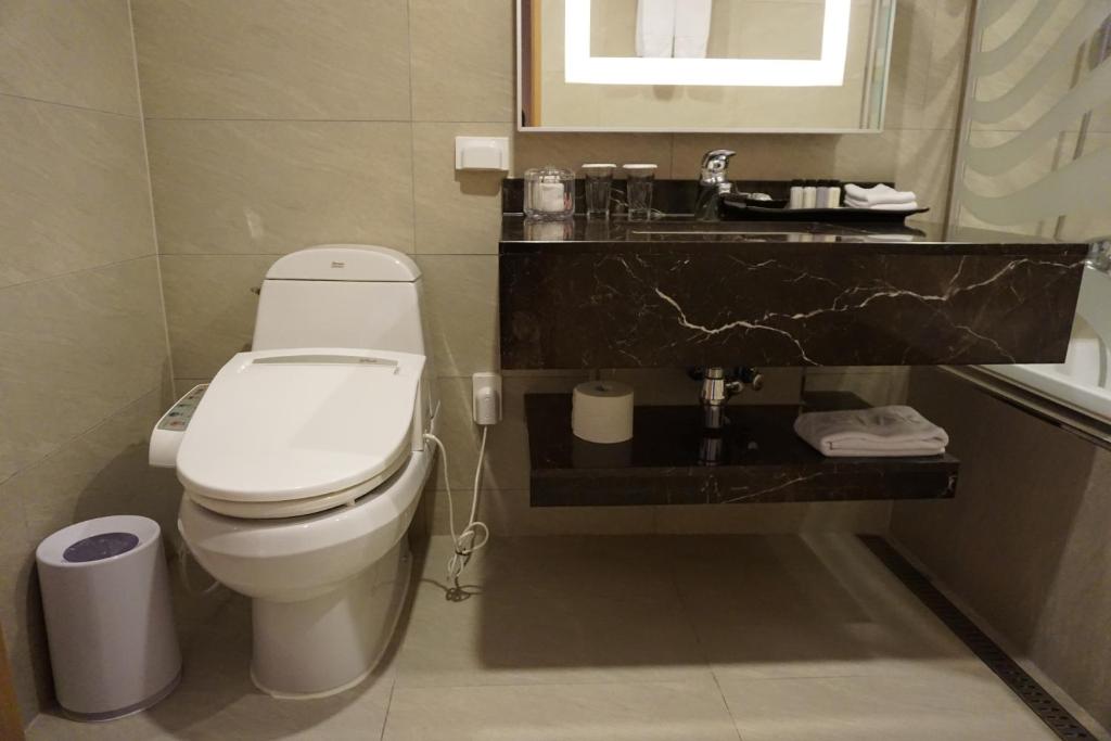 Koupelna v ubytování Astar Hotel
