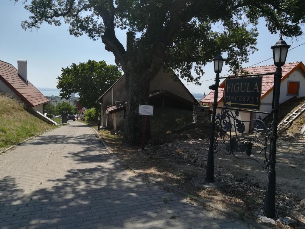 Okolí penzionu