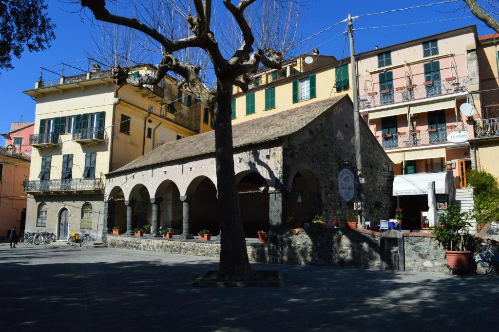 un edificio con un albero in mezzo a una strada di affittacamere la loggia a Levanto