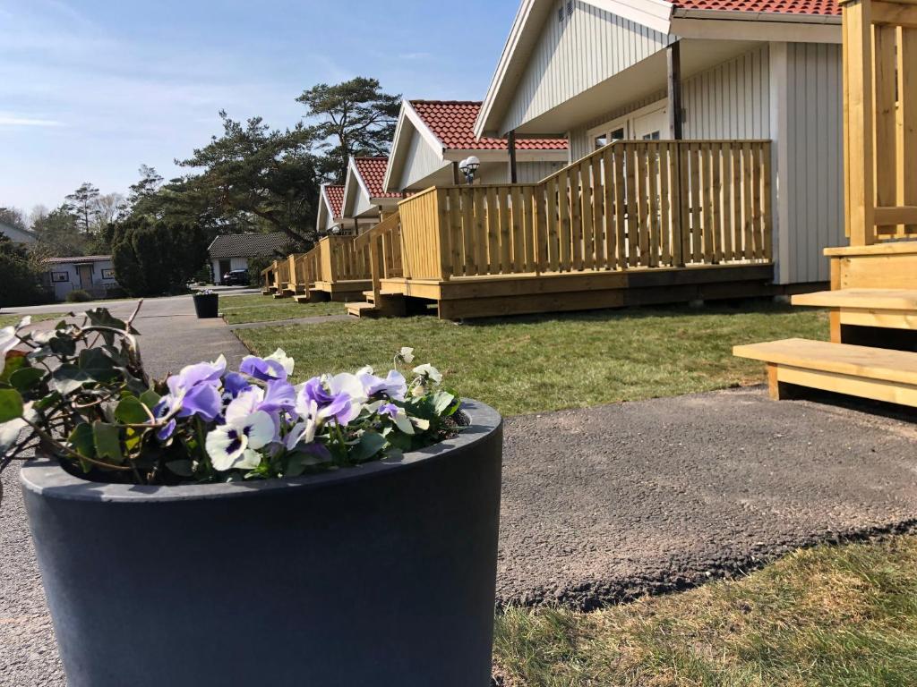 un sembrador negro con flores púrpuras en un patio en Saltviks Stugby & Camping, en Grebbestad