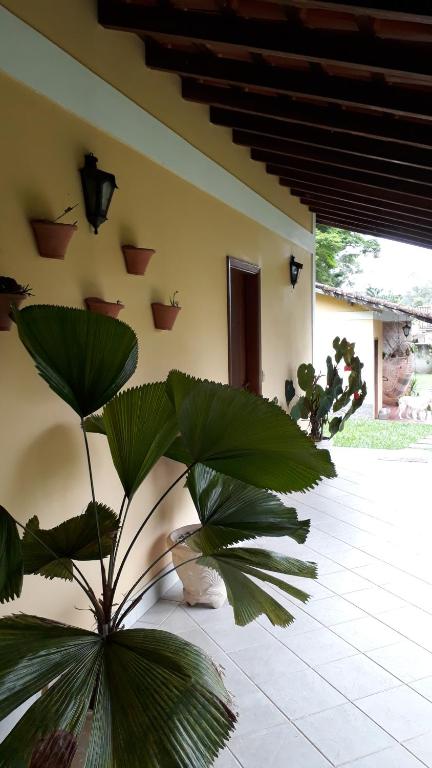  Paraíso Penedo