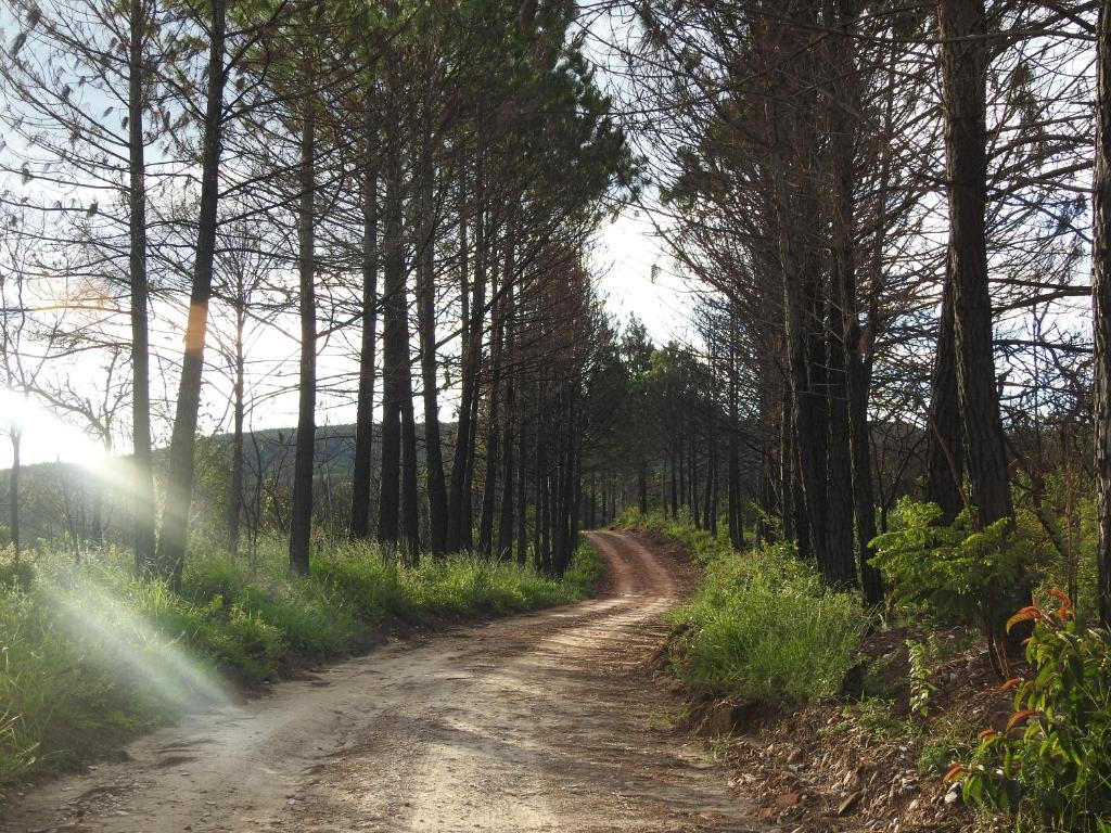  Pousada Serra Verde