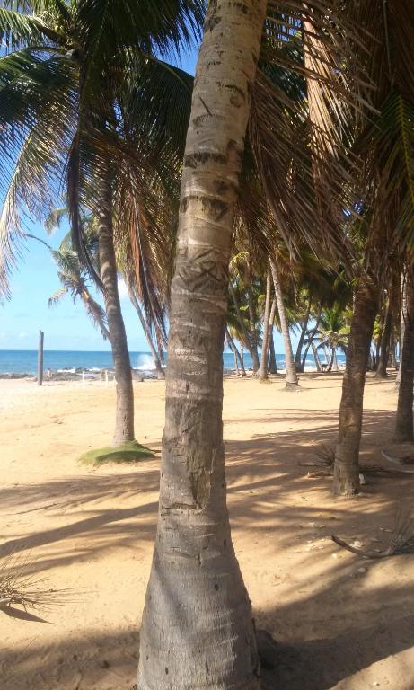  Sossego e praia