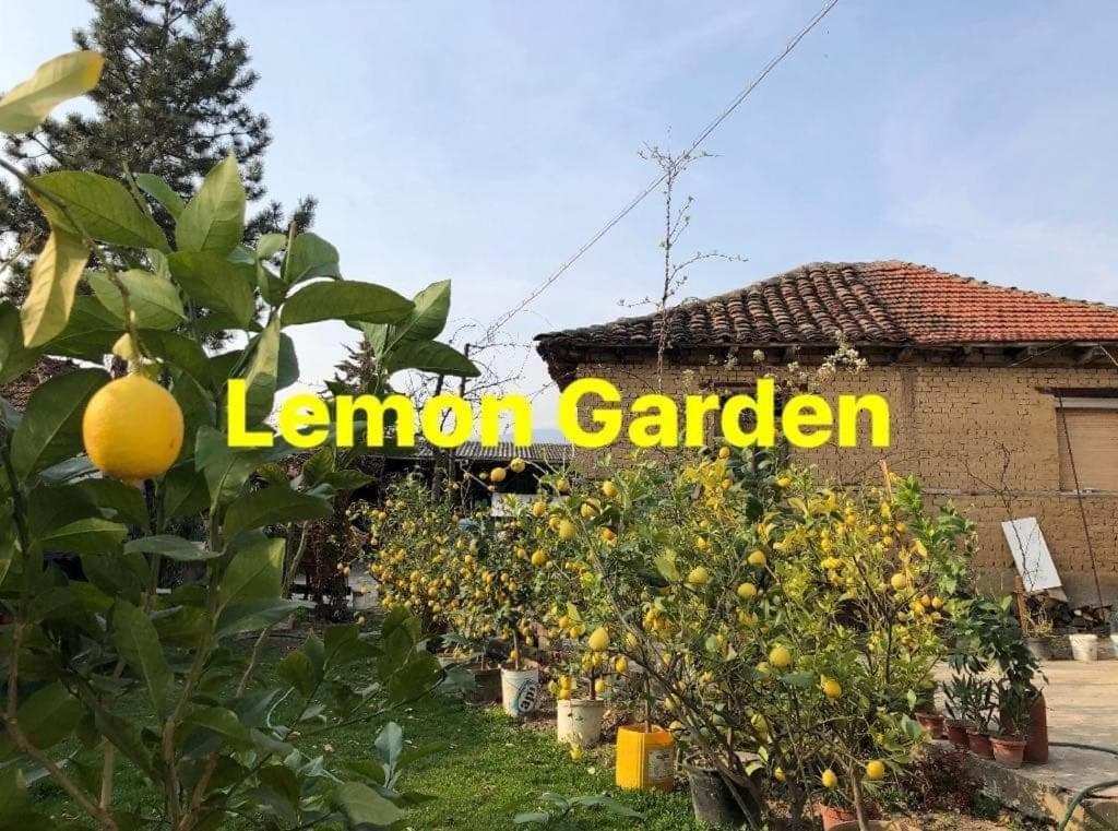 Zahrada ubytování Lemon Garden