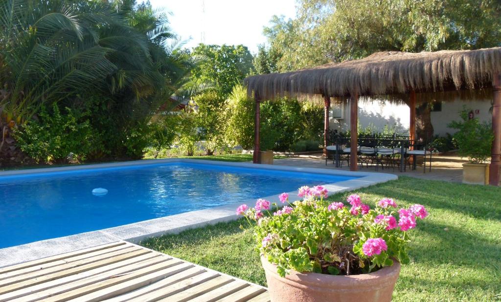 a swimming pool in a yard with flowers in a pot at Casa Calfu in Santa Cruz