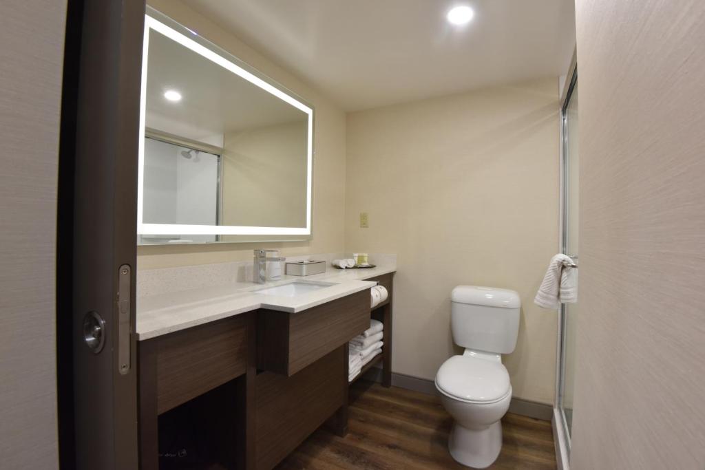 Victoria Inn Hotel and Convention Center Winnipeg - Resim 7