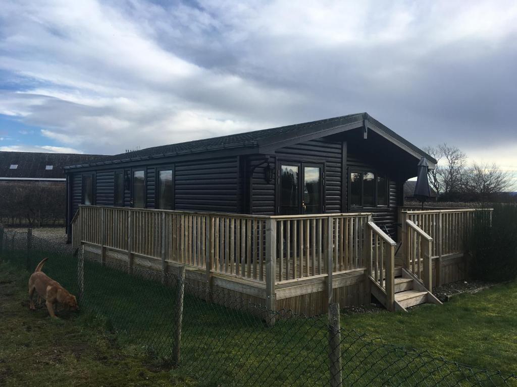 una casa negra con porche de madera y un perro en Concraig Lodge, en Crieff