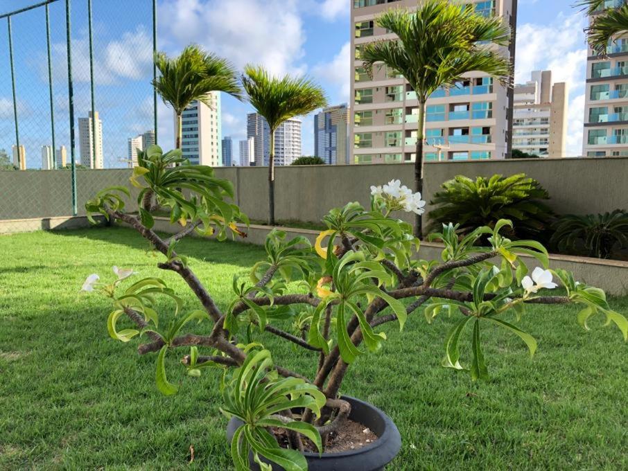  Apartamento - Edf. Duna Barcane
