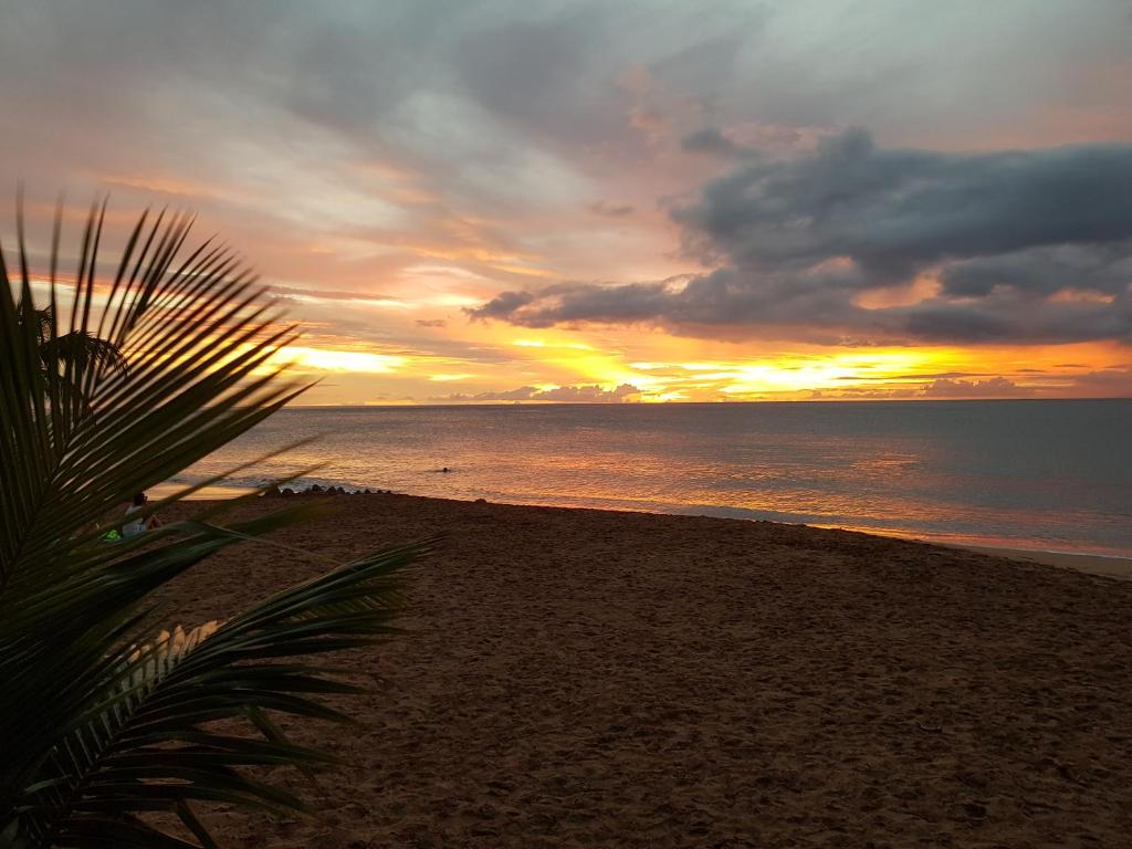 una puesta de sol en la playa con una palmera en Le Royal Horizon en Deshaies