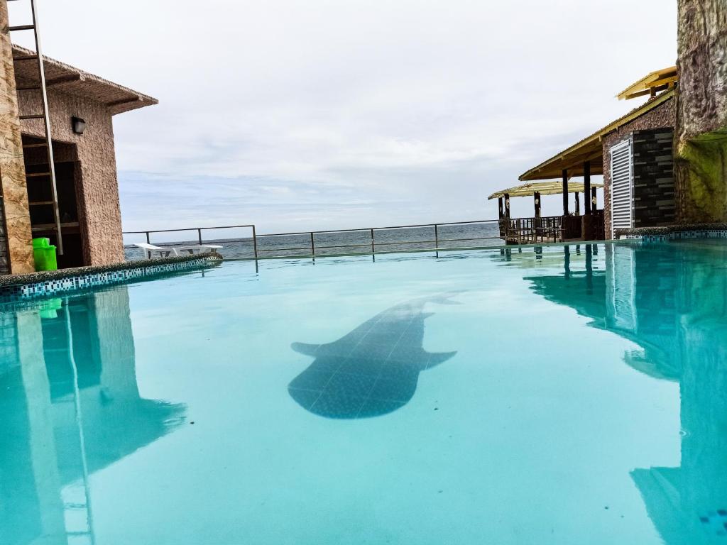 a swimming pool with a shark in the water at GingGing Hotel And Resort in Oslob