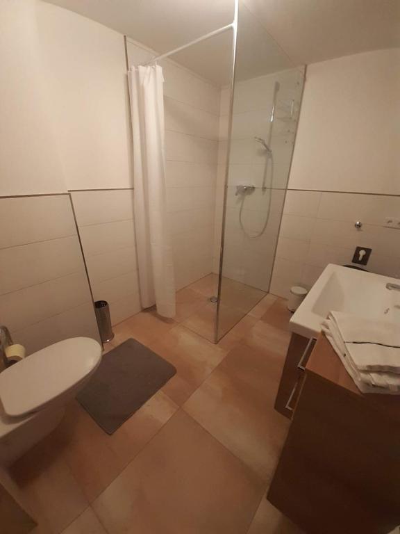 Kúpeľňa v ubytovaní Reiterhof Truttenbach