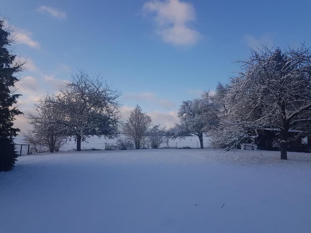 a field covered in snow with trees in the background at Ferienwohnung Parkblick Medebach in Medebach