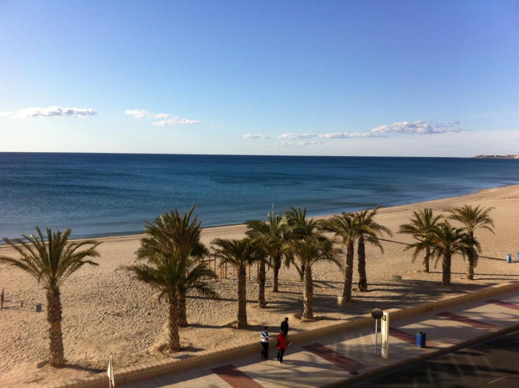 een uitzicht op een strand met palmbomen en de oceaan bij Frente al mar, a 10 metros de la playa, vistas increíbles del mar, reformado 2021 !!! in El Campello