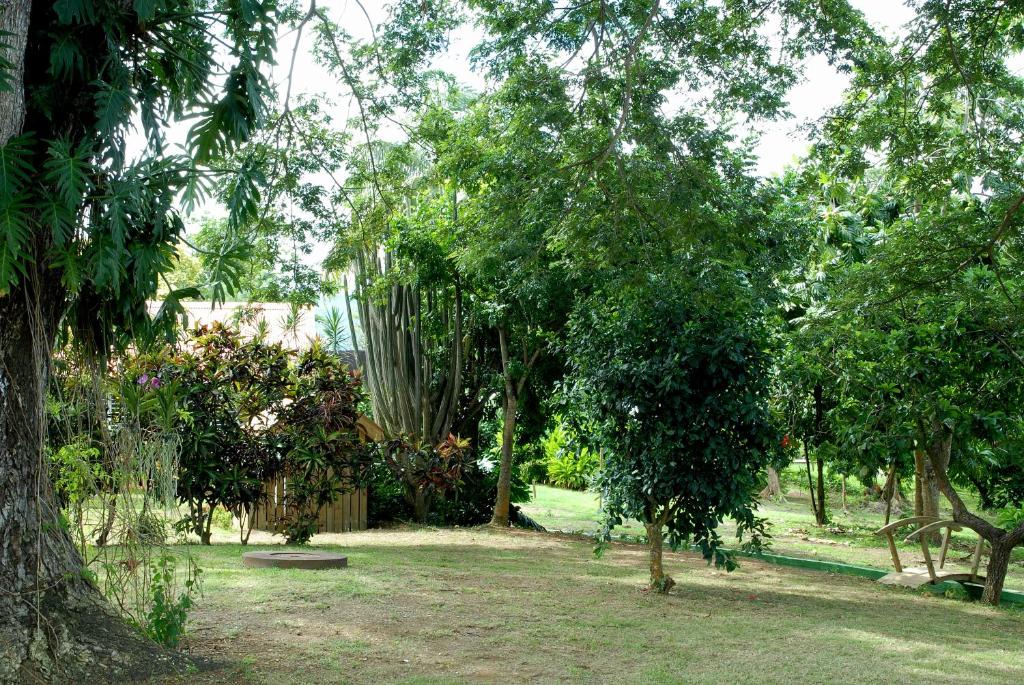 Jardín al aire libre en Habitation du Comté