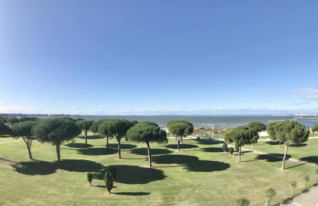 eine Gruppe von Bäumen auf einem Feld mit dem Ozean im Hintergrund in der Unterkunft AS13357 - P3 face à la plage sans route à traverser, proche centre ville avec parking privé in Le Grau-du-Roi