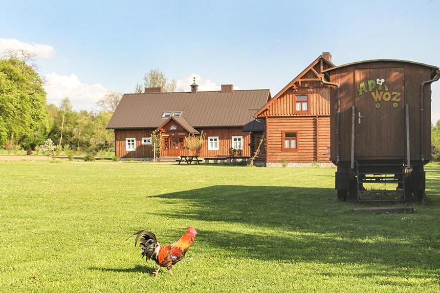 a chicken standing in a field in front of a house at Dom gościnny w Bartniku in StrÃ³Å¼e
