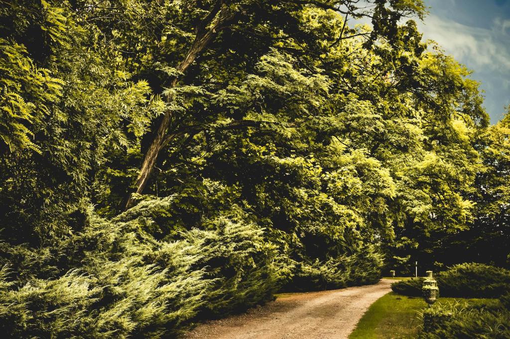 Dwór Giemzów Hotel - Autostrada A1 - Resim 31