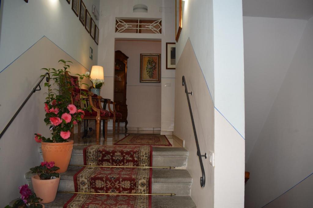 Hotel Dalmazia - Resim 10