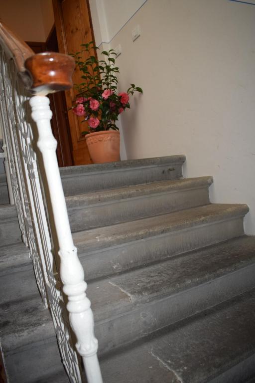 Hotel Dalmazia - Resim 21