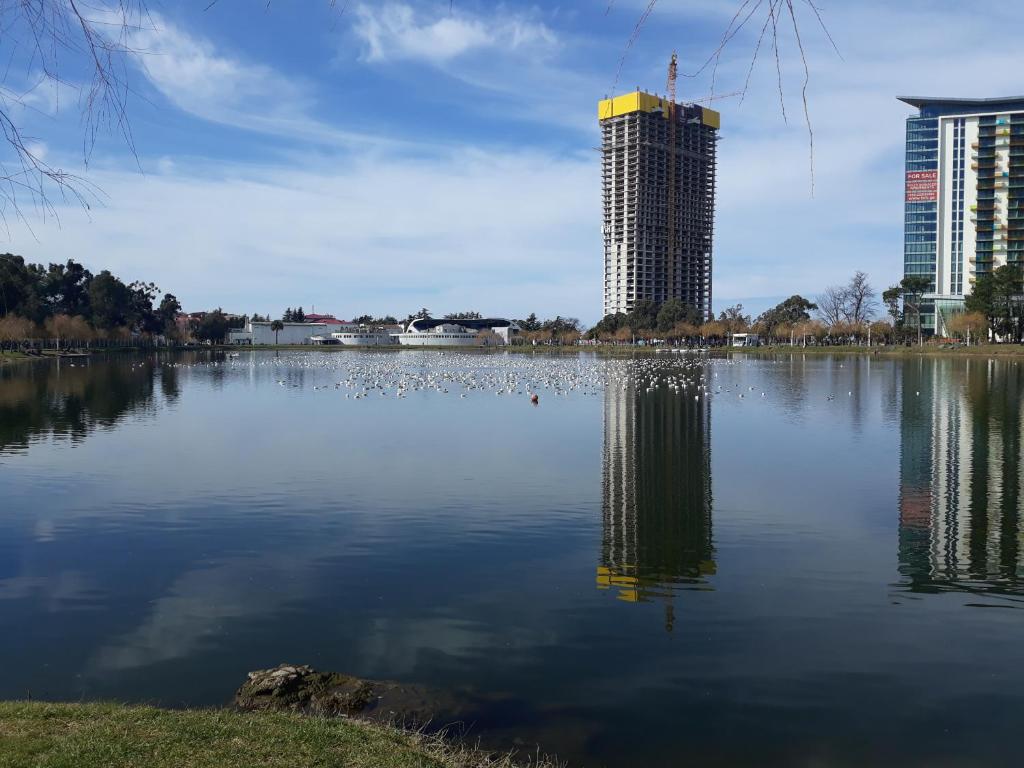 فضای داخلی Kvartira near the boulevard در باتومی - تصویر ۳