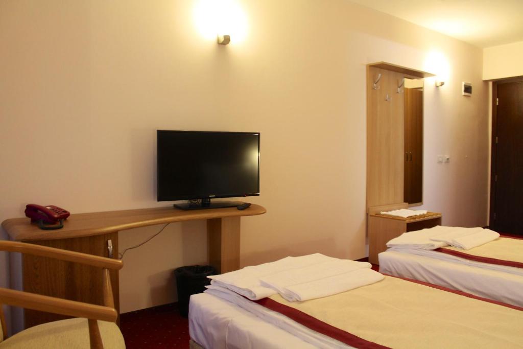 TV a/nebo společenská místnost v ubytování Hotel Carpați