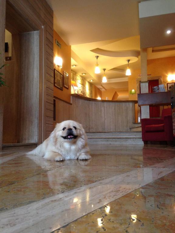 Hotel Posta - Resim 25