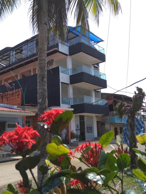 a building with a palm tree in front of it at Hotel OBEGA PACIFIC in Nuquí