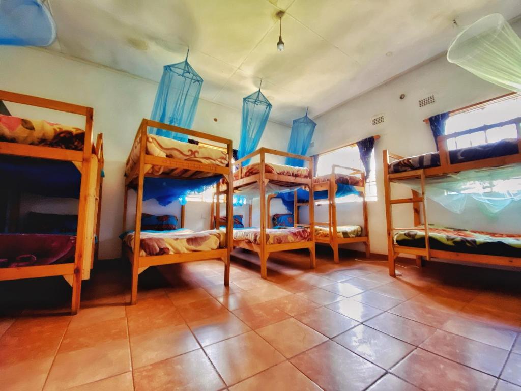 Blend Lodge and Kitchen - Pakachere - Bunk Bed In Mixed Dormitory Room