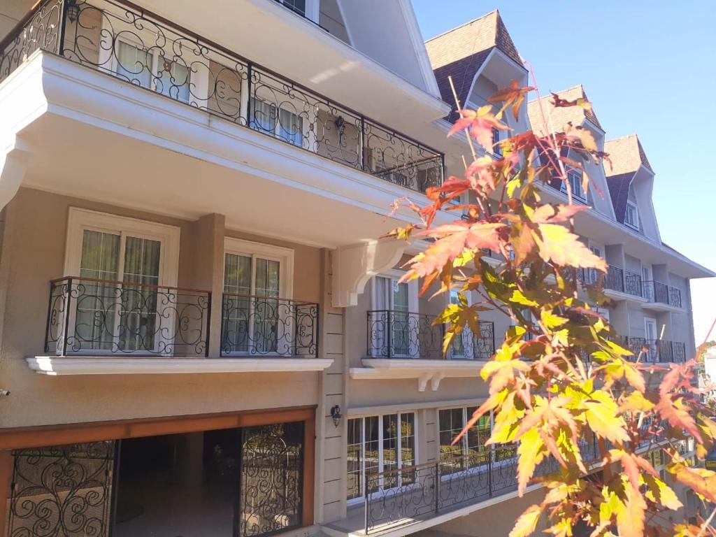 un edificio con balcones y un árbol en Hotel Daara, en Gramado