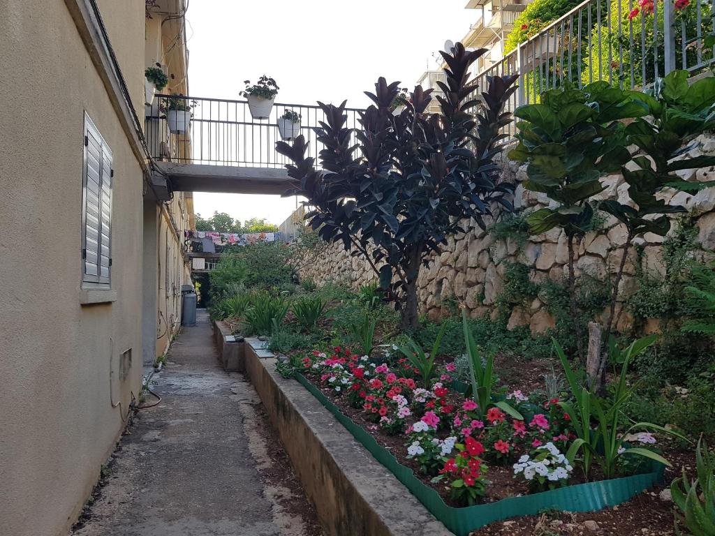 Zahrada ubytování Nazareth View