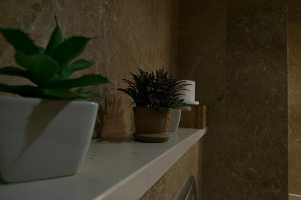 Avenida Central - Coimbra Accommodation - 9