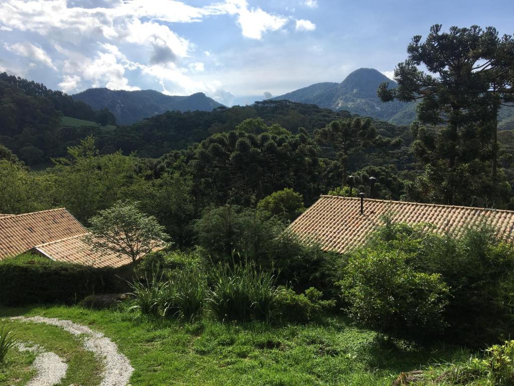  Chalé Akira