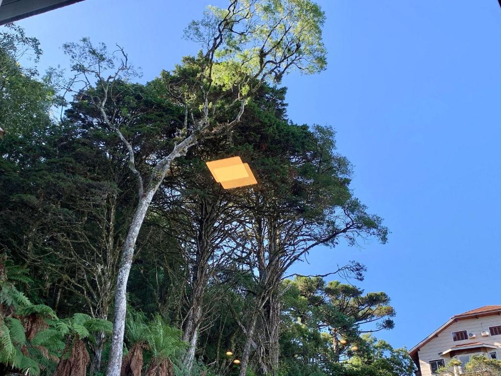  Orquídeas 203 B - Apto na Borges de Medeiros Gramado