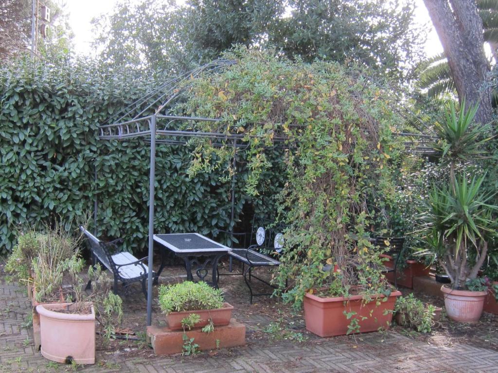 Hotel Casale dei Massimi - Resim 45