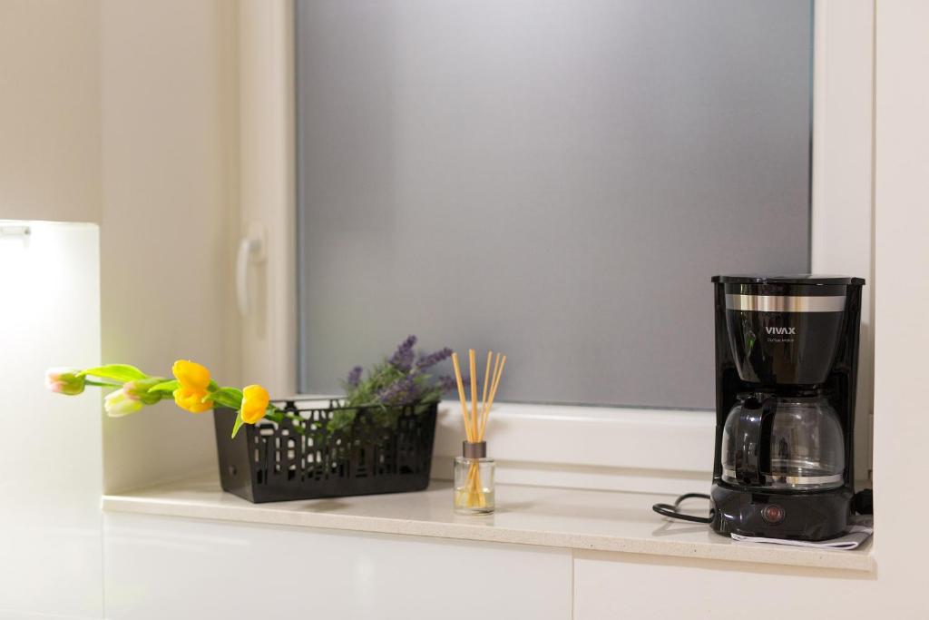 Logo apartments 5 min walk to main square - 13