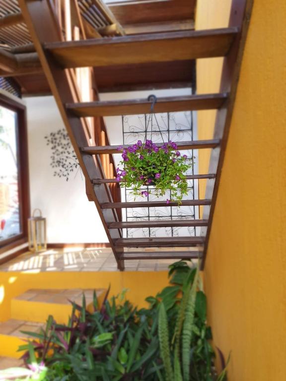  A casa da Coruja