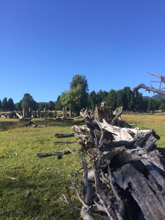Loodusmaastik puhkemajakeste lähedal