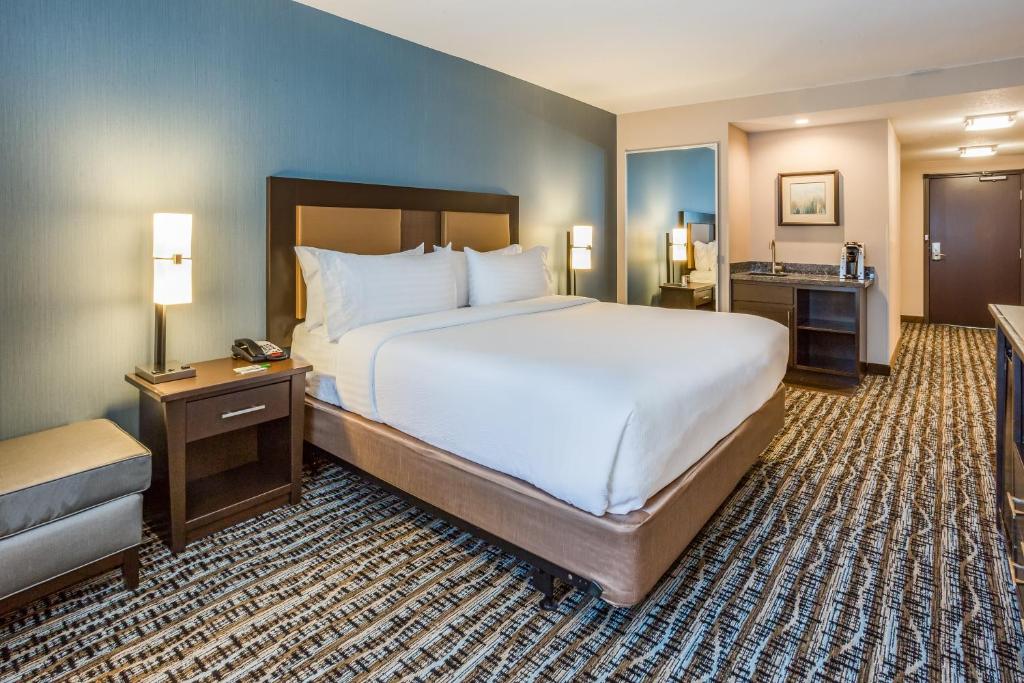 Holiday Inn South Jordan - SLC South by IHG - Camera King Standard Con Vasca Per Ospiti Disabili