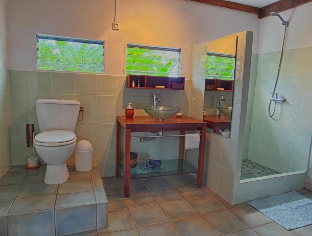 a bathroom with a toilet and a sink and a shower at Le Parc aux Orchidées in Pointe-Noire