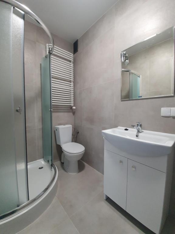 Kúpeľňa v ubytovaní Willa "Aparthause" E-Apartamenty