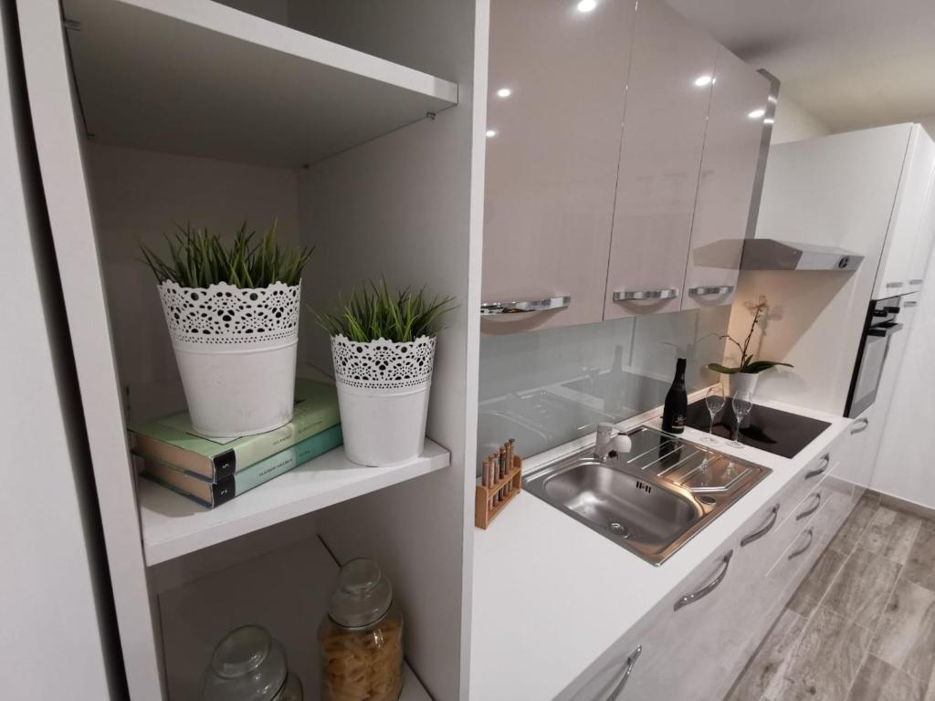 Kuchyňa alebo kuchynka v ubytovaní Apartmani Pina 1