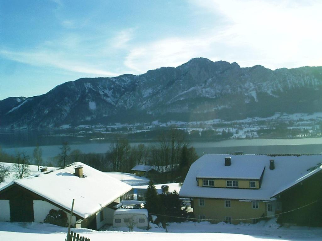 Příroda nedaleko apartmánu
