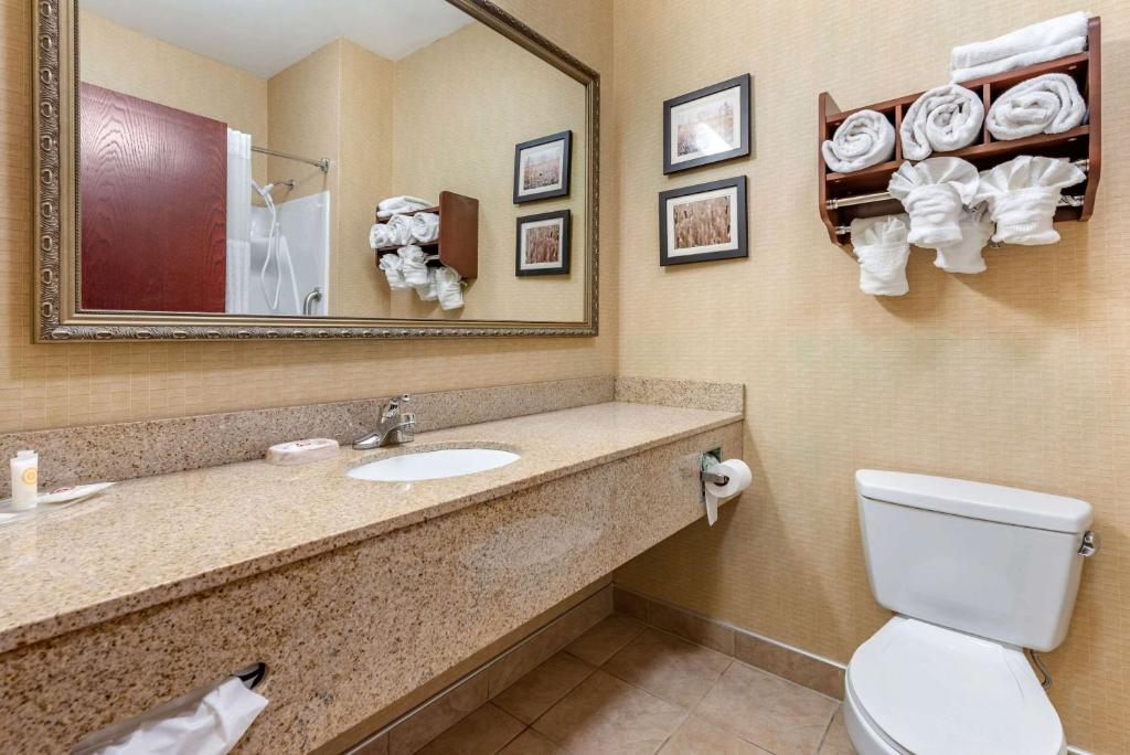Comfort Suites Elkhart South photo