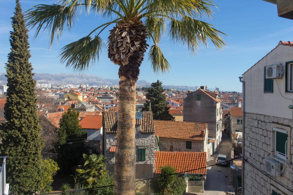 a palm tree in the middle of a city at Apartments Kovacic_Grubisic in Split