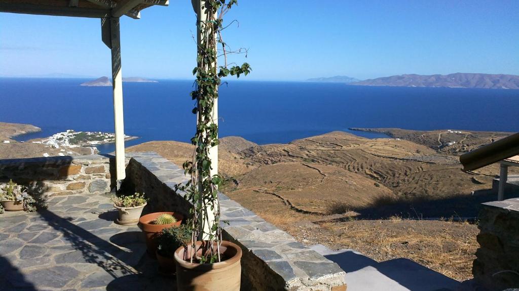 a group of potted plants on a patio with the ocean at SIRENA in Kithnos