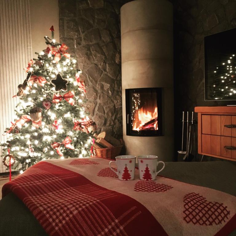 Fotografie z fotogalerie ubytování Apartments Krvavec v destinaci Cerklje na Gorenjskem