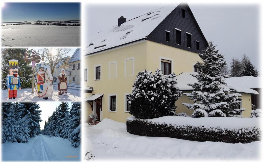 Ferienwohnung Flöhatalblick v zimě