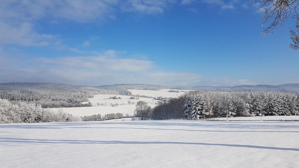 Ferienwohnung Flöhatalblick v zimě
