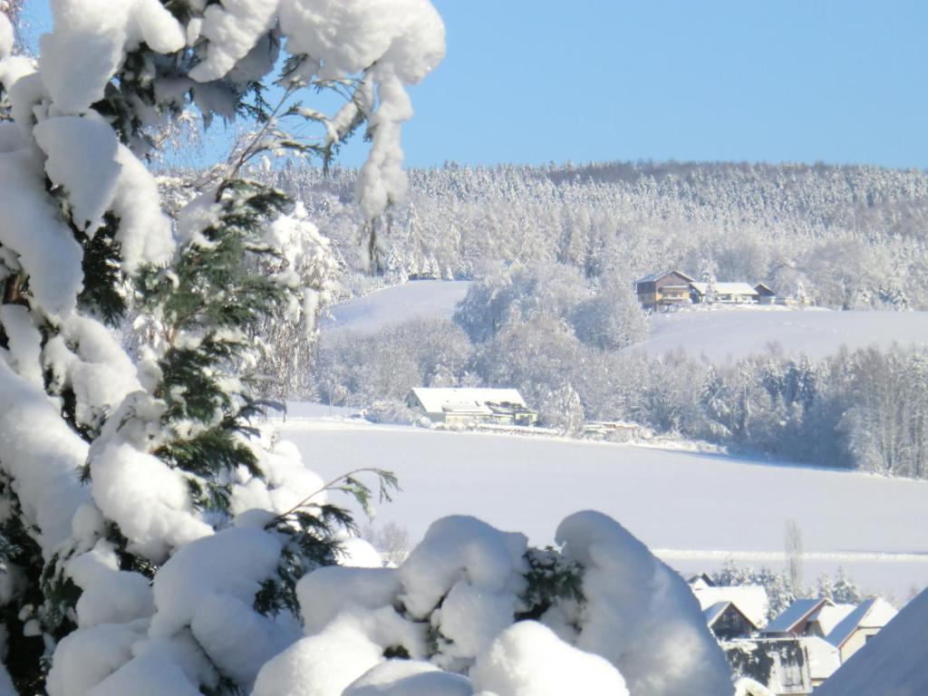 Ferienwohnung Flöhatalblick v zimě