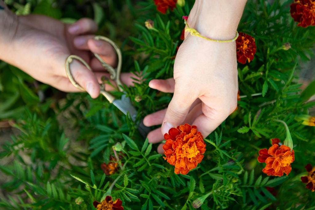 Borgo Antichi Orti Assisi - Resim 39